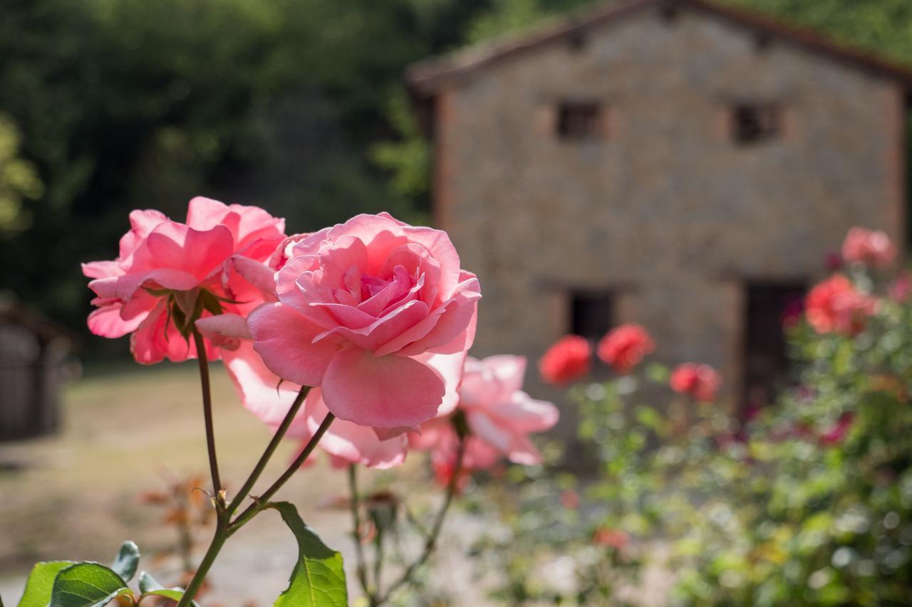 Вілла La Piana Dei Castagni Castel d'Aiano Екстер'єр фото